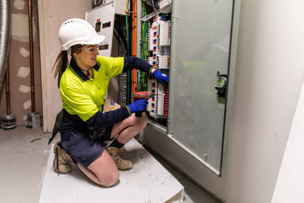 Best Electric Panel Repair  in Webb City, MO