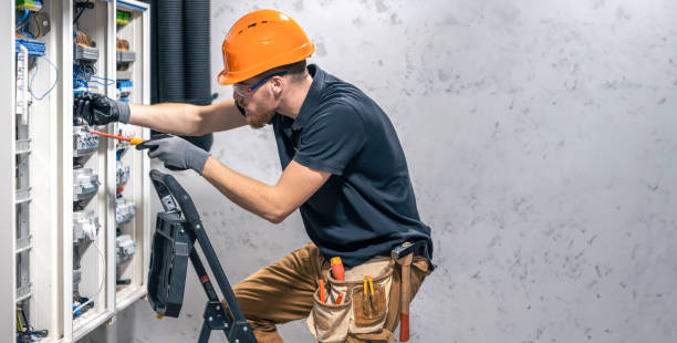 Best Electric Panel Repair  in Webb City, MO